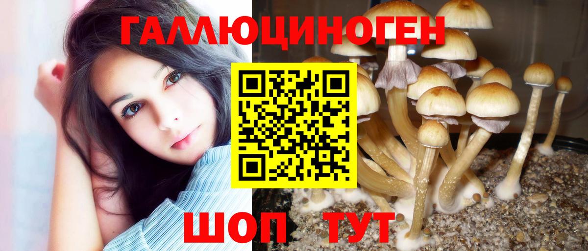 Галлюциногенные грибы Psilocybe Острогожск